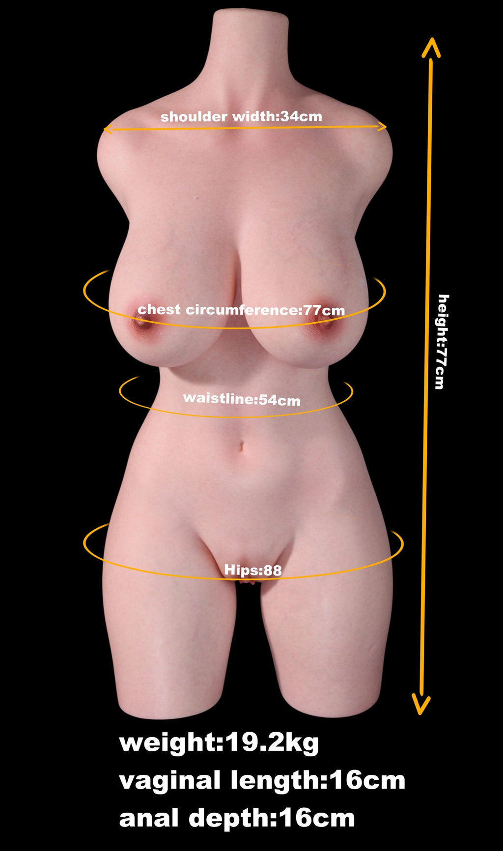 MD Doll Eileen T03 Silicone Torso with Head M50 - In Stock US