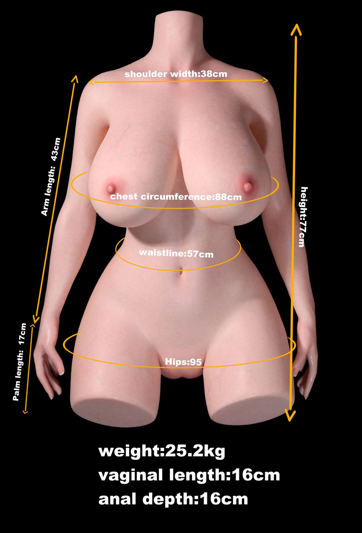 MD Doll Ada T04 Silicone Torso with Head M60 - In Stock US