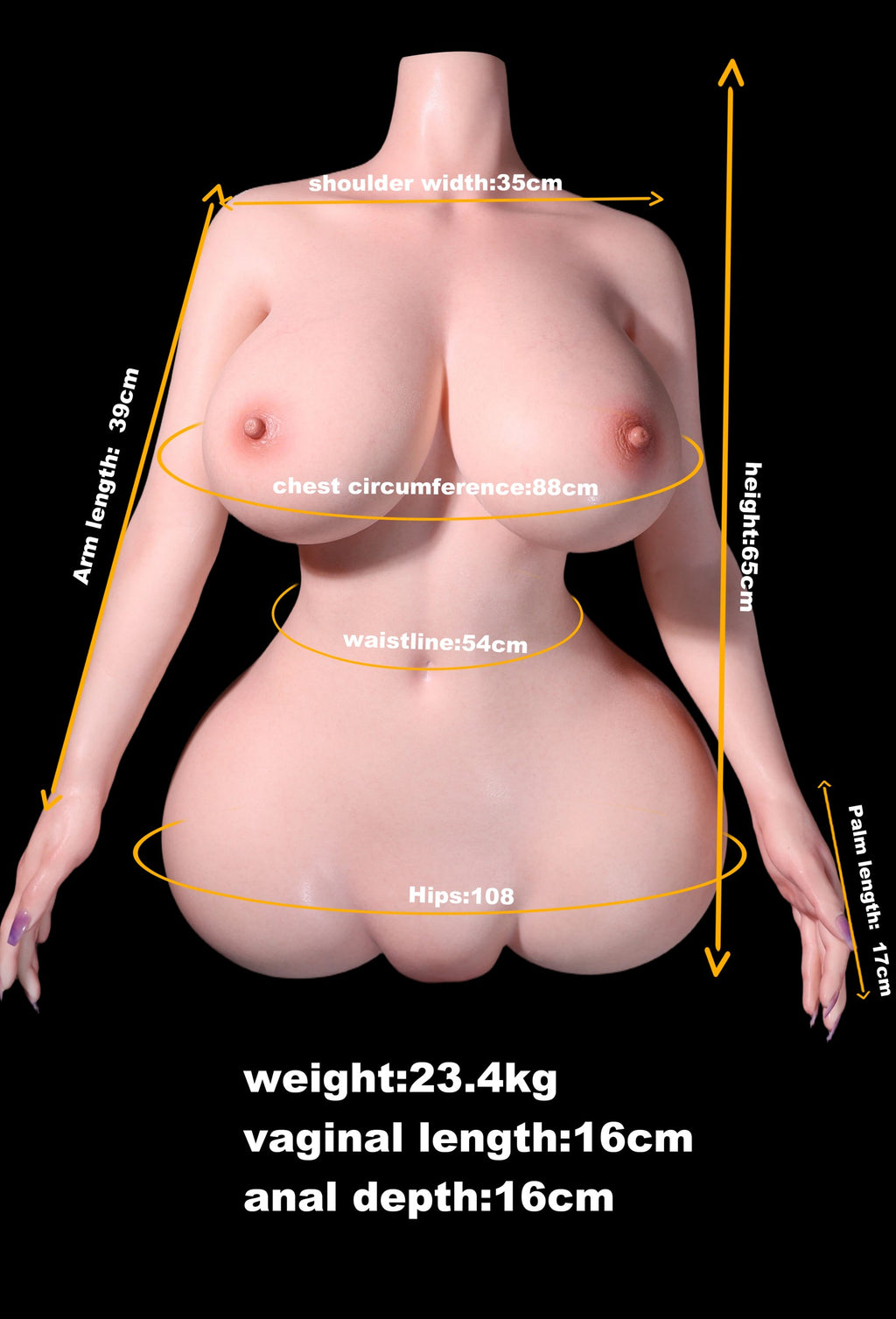 MD Doll Brianna T02 Silicone Torso with Head M52 - In Stock US