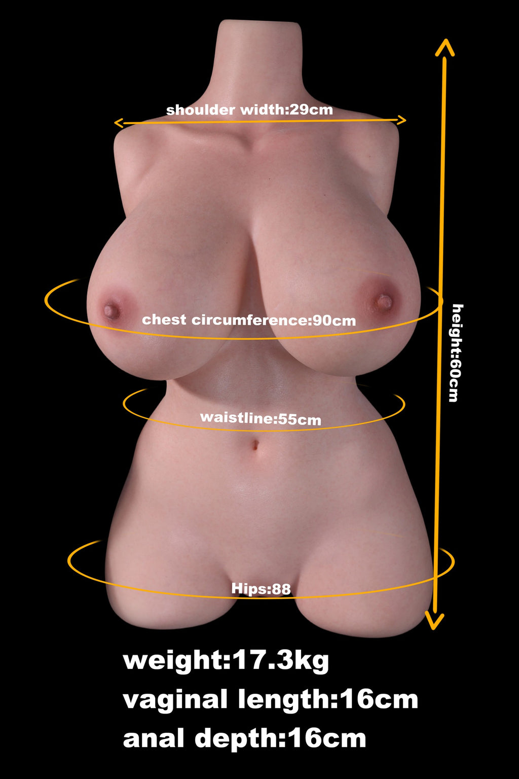 MD Doll Yumiko T01 Silicone Torso with Head M61 - In Stock US