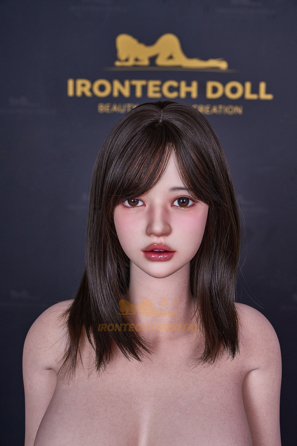 Irontech Eive T4 ROS MAX factory detail photo