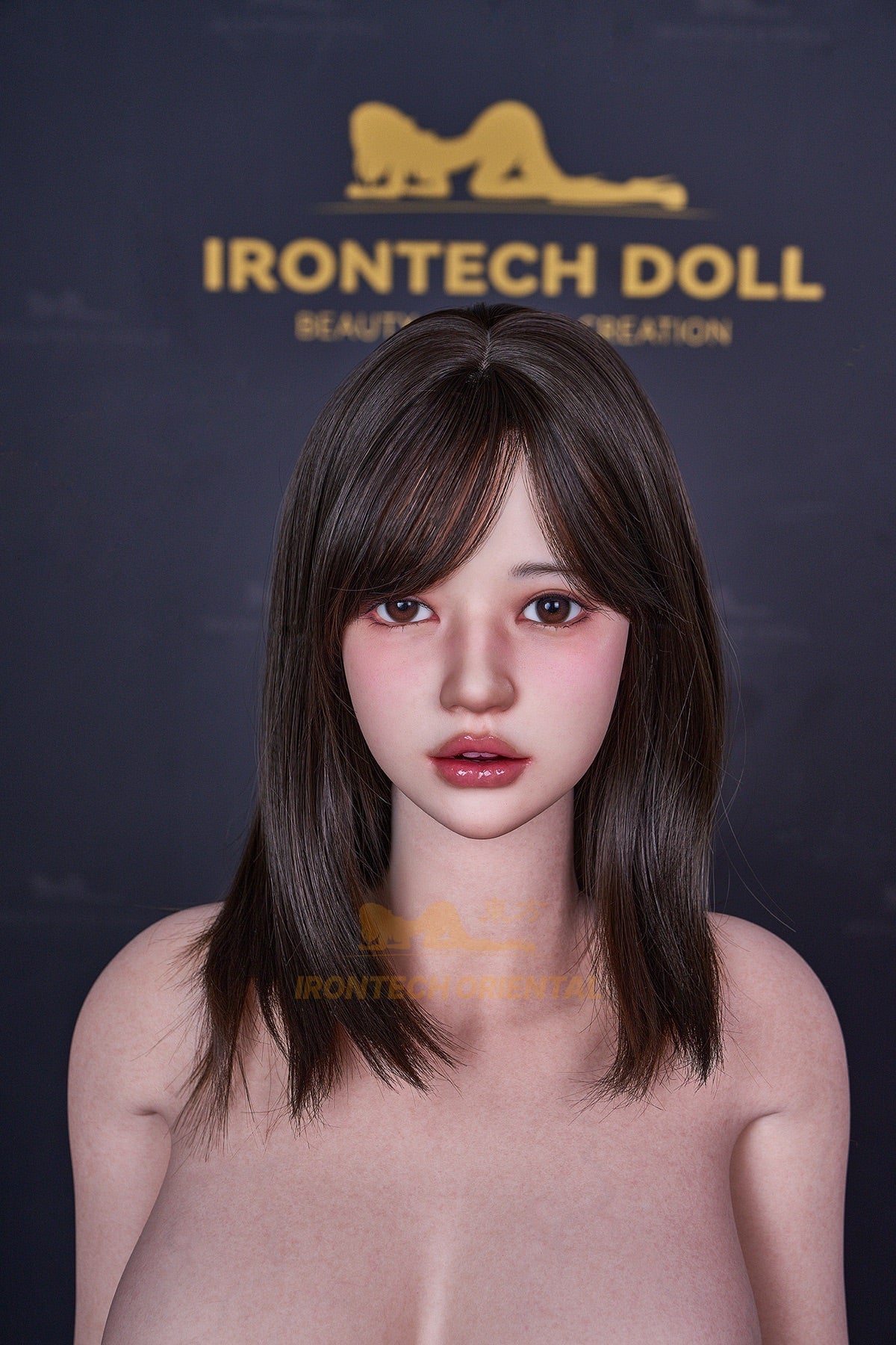 Irontech Eive T4 ROS MAX factory detail photo