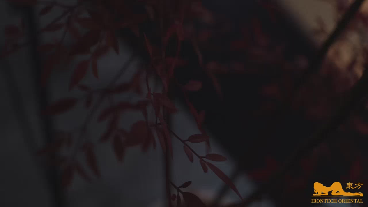 Irontech Eive T4 ROS MAX Blue Hour edition product video